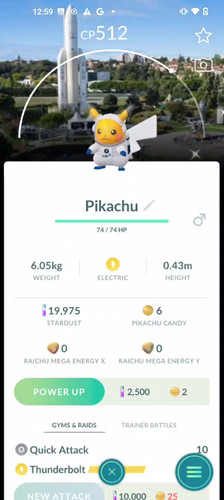 Shiny pikachu toulouse - shiny,