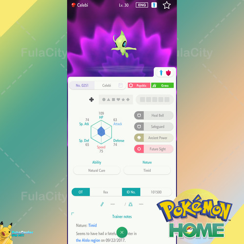 Celebi event american ilex - celebi,